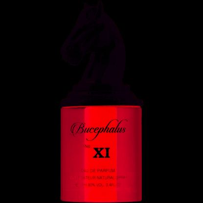 Picture of Armaf Bucephalus XI EDP