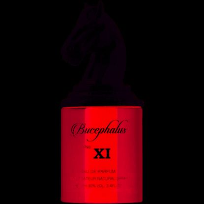 Picture of Armaf Bucephalus XI EDP