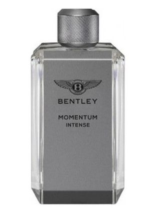 Picture of Bentley Momentum Intense