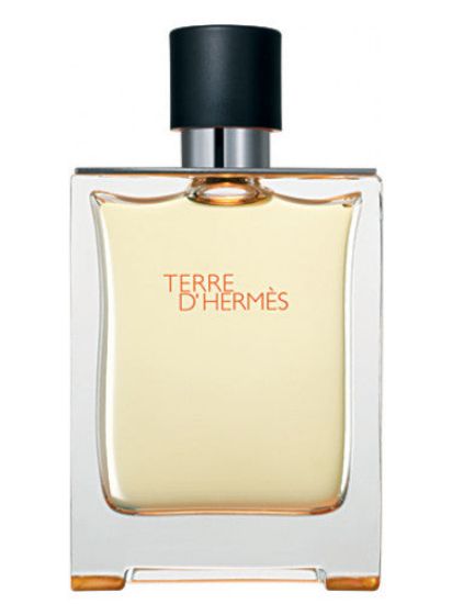 Picture of Hermes Terre d'Hermes EDT