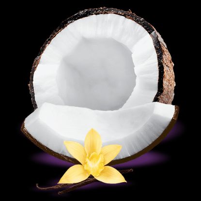 Picture of Rosa Salas 095-Coconut & Vanilla