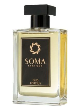 Picture of Soma Oud Fortius