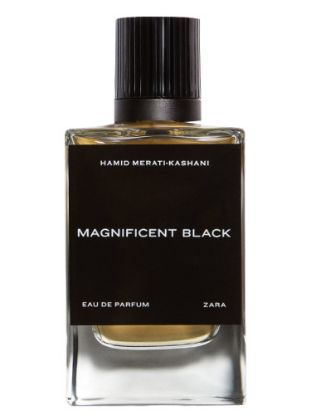 Picture of Zara Magnificent Black